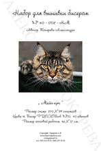 Lade das Bild in den Galerie-Viewer, Stickpackung mit Perlen "Maine coon"