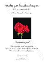 Lade das Bild in den Galerie-Viewer, Stickpackung mit Perlen "Die Tautropfen"