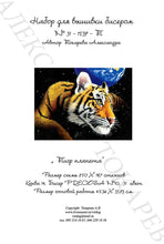 Lade das Bild in den Galerie-Viewer, Stickpackung mit Perlen "Tiger Planet"