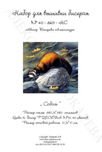 Lade das Bild in den Galerie-Viewer, Stickpackung mit Perlen "Zobel"