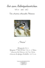 Lade das Bild in den Galerie-Viewer, Stickpackung mit Perlen "Meise"