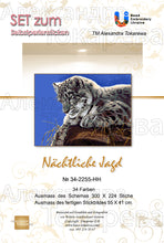 Lade das Bild in den Galerie-Viewer, Stickpackung mit Perlen "nächtliche Jagd"