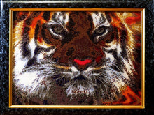 Lade das Bild in den Galerie-Viewer, Stickpackung mit Perlen "Amur Tiger"