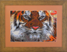 Lade das Bild in den Galerie-Viewer, Stickpackung mit Perlen "Amur Tiger"