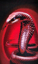 Lade das Bild in den Galerie-Viewer, Stickpackung mit Perlen "Cobra"