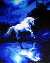 Lade das Bild in den Galerie-Viewer, Stickpackung mit Perlen "Eine fabelhafte Nacht"