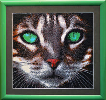 Lade das Bild in den Galerie-Viewer, Stickpackung mit Perlen "Kater"