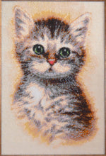 Lade das Bild in den Galerie-Viewer, Stickpackung mit Perlen "Katzenbaby"
