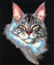 Lade das Bild in den Galerie-Viewer, Stickpackung mit Perlen "Maine coon tabby"