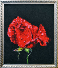 Lade das Bild in den Galerie-Viewer, Stickpackung mit Perlen "Die Tautropfen"