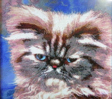 Lade das Bild in den Galerie-Viewer, Stickpackung mit Perlen "Perserkatze"
