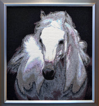 Lade das Bild in den Galerie-Viewer, Stickpackung mit Perlen "Schimmel"