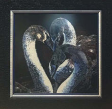 Lade das Bild in den Galerie-Viewer, Stickpackung mit Perlen "Schwarzer Schwan"