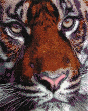 Lade das Bild in den Galerie-Viewer, Stickpackung mit Perlen "Ein Tiger"