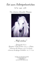 Lade das Bild in den Galerie-Viewer, Stickpackung mit Perlen "Schimmel"