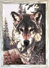 Lade das Bild in den Galerie-Viewer, Stickpackung mit Perlen "Wolfsblick"