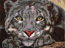 Lade das Bild in den Galerie-Viewer, Stickpackung mit Perlen "Tiger auf der Lauer"