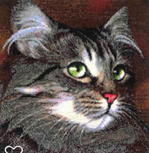 Lade das Bild in den Galerie-Viewer, Stickpackung mit Perlen "grünäugige Katze"