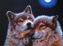 Lade das Bild in den Galerie-Viewer, Stickpackung mit Perlen "Unter dem Mond"