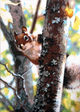 Lade das Bild in den Galerie-Viewer, Stickpackung mit Perlen "Eichhörnchen"