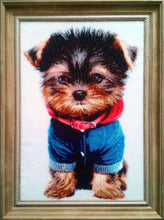 Lade das Bild in den Galerie-Viewer, Stickpackung mit Perlen "Modisch"