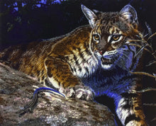 Lade das Bild in den Galerie-Viewer, Stickpackung mit Perlen "Treffen auf der Jagd"