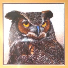 Lade das Bild in den Galerie-Viewer, Stickpackung mit Perlen "Uhu"