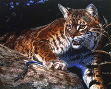 Lade das Bild in den Galerie-Viewer, Stickpackung mit Perlen "Treffen auf der Jagd"