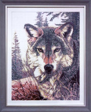 Lade das Bild in den Galerie-Viewer, Stickpackung mit Perlen "Wolfsblick"