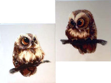 Lade das Bild in den Galerie-Viewer, Stickpackung mit Perlen "Eulenbabys" (Diptychon)