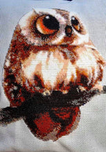 Lade das Bild in den Galerie-Viewer, Stickpackung mit Perlen "Eulenbabys" (Diptychon)