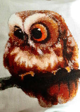 Lade das Bild in den Galerie-Viewer, Stickpackung mit Perlen "Eulenbabys" (Diptychon)