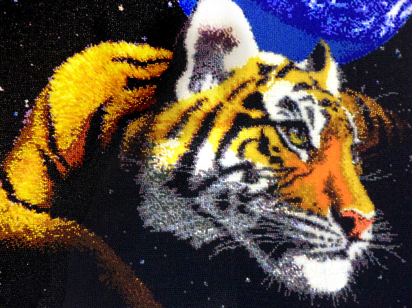 Tiger Planet von Alexandra Tokarewa
