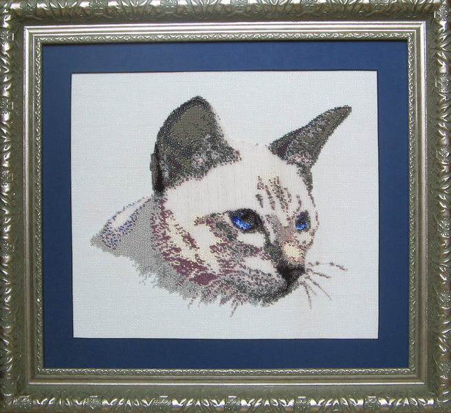 Katze von Alexandra Tokarewa