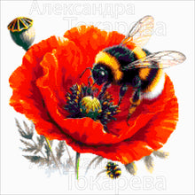 Lade das Bild in den Galerie-Viewer, Stickpackung mit Perlen &quot;Hummel und Mohnblume&quot;
