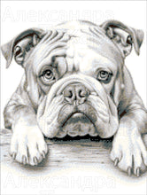 Lade das Bild in den Galerie-Viewer, Stickpackung mit Perlen "wartender Bulldogge"
