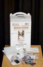Lade das Bild in den Galerie-Viewer, Stickpackung mit Perlen "Katzenpaar"
