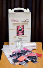 Lade das Bild in den Galerie-Viewer, Stickpackung mit Perlen "Schwarzer Flamingo"
