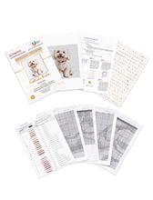 Lade das Bild in den Galerie-Viewer, Stickpackung mit Perlen &quot;Fröhlicher Bichon&quot;
