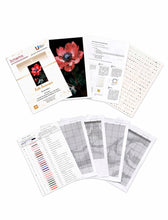 Lade das Bild in den Galerie-Viewer, Stickpackung mit Perlen "Rote Anemone"

