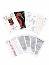 Lade das Bild in den Galerie-Viewer, Stickpackung mit Perlen "Roter Ibis"
