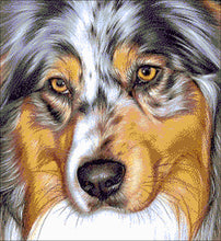 Lade das Bild in den Galerie-Viewer, Stickpackung mit Perlen &quot;Australien Shepherd&quot;
