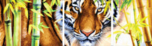 Lade das Bild in den Galerie-Viewer, Stickpackung mit Perlen &quot;Der fernöstliche Tiger&quot;
