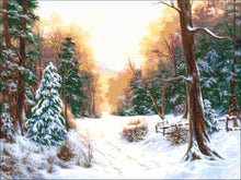 Lade das Bild in den Galerie-Viewer, Stickpackung mit Perlen &quot;Im Winterwald&quot;
