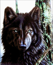Lade das Bild in den Galerie-Viewer, Stickpackung mit Perlen &quot;Kanadischer Wolf&quot;
