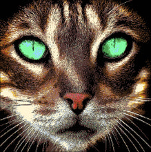 Lade das Bild in den Galerie-Viewer, Stickpackung mit Perlen &quot;Kater&quot;
