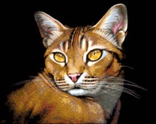 Lade das Bild in den Galerie-Viewer, Stickpackung mit Perlen &quot;Katze&quot;
