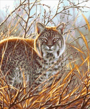 Lade das Bild in den Galerie-Viewer, Stickpackung mit Perlen &quot;Luchs&quot;
