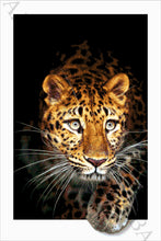 Lade das Bild in den Galerie-Viewer, Stickpackung mit Perlen &quot;Pardus&quot;
