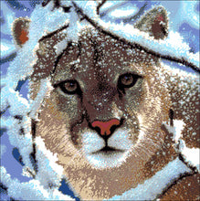 Lade das Bild in den Galerie-Viewer, Stickpackung mit Perlen &quot;Puma&quot;
